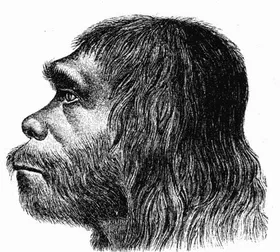 Neandertaler unter Beschuss