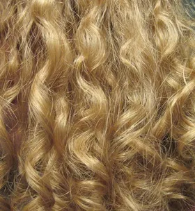 Warum es Blondinen gibt
