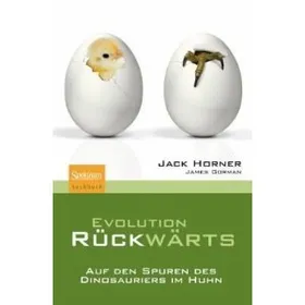 EVOLUTION RÜCKWÄRTS