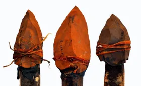 Spitze vor 500.000 Jahren