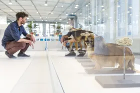 "Du bist anthropozän!"