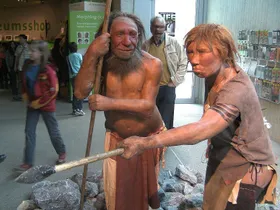 Neandertaler-Y-Chromosom spurlos verschwunden