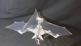 Fledermaus-Roboter entwickelt