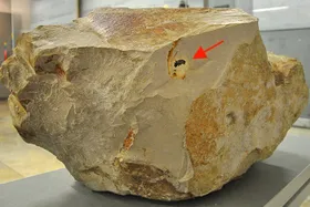 Erster Meteorit aus dem Steinheimer Becken