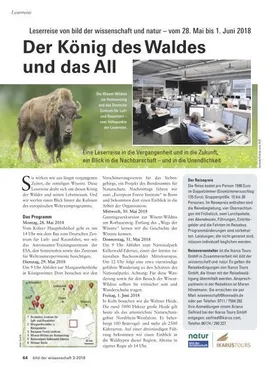 Der König des Waldes und das All