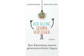 Reise durchs Gehirn