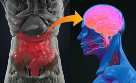 Wie die Darmflora Alzheimer beeinflusst