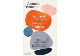 Das große Rätsel in unseren Köpfen