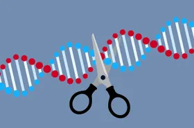 Neue Art der CRISPR-Genschere entdeckt
