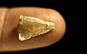 Pfeil und Bogen schon vor 54.000 Jahren