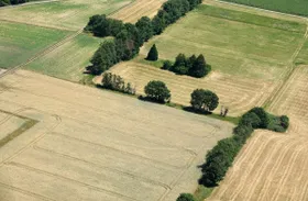 Spurensuche aus der Luft