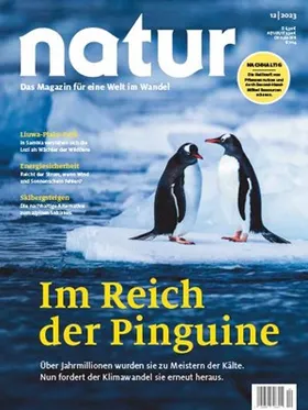 Im Reich der Pinguine