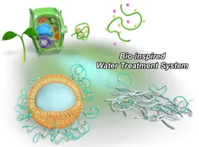 Bioinspirierte Wasseraufbereitung