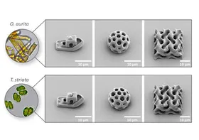 3D-Laserdruck mit Algen-Tinte