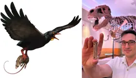 Raubvögel der Dino-Ära