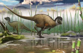 Feder-Dinos weit verbreitet