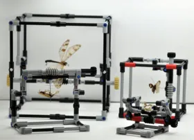 Insektenforscher spielen Lego