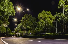 Nacht-Beleuchtung verhärtet Insektenfutter