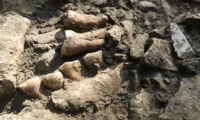 Neandertaler-Linie war 50.000 Jahre isoliert