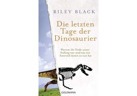 Dramatisches Ende der Kreidezeit