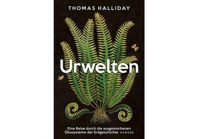 Bildungsreise in die Urzeit