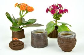 3D-Druck mit Kaffeesatz