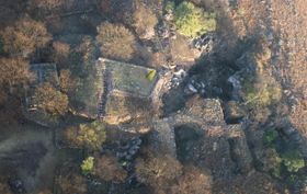 Fossil enthüllt Details zu Paranthropus robustus