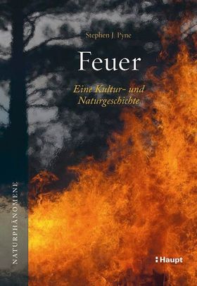 Ein Feuerwerk