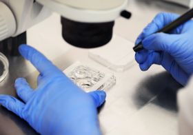 Würden Eltern Embryos nach IQ auswählen?