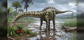 Riesen-Dinosaurier: Erster Fund eines Diplodocus in Europa