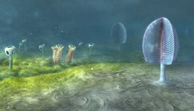 Entstanden die ersten Tiere 200 Millionen Jahre früher als gedacht?