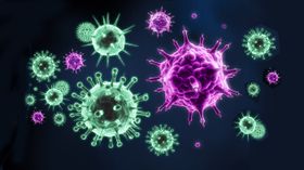 Mehr als 40.000 neue RNA-Viren - in unseren Städten