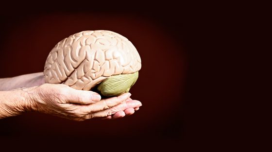 Wie sich das Gedächtnis im Alter verändert