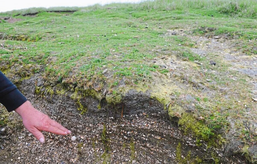 02_HR_Hallig_Nordstrandischmoor_Sedimentschichten_DSC7367.jpg