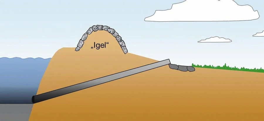 HR_Illustation_1.jpg