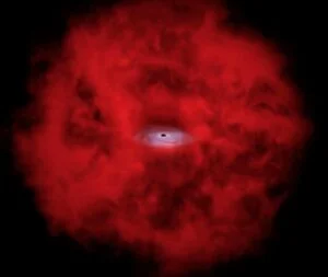 Black Hole Star