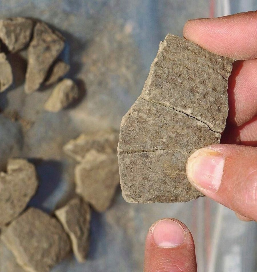 An_archaeologist_of_the_Halle-Wittenberg_university_shows_a_piece_of_ceramics_found_in_Goseck_near_Weissenfels,_eastern_