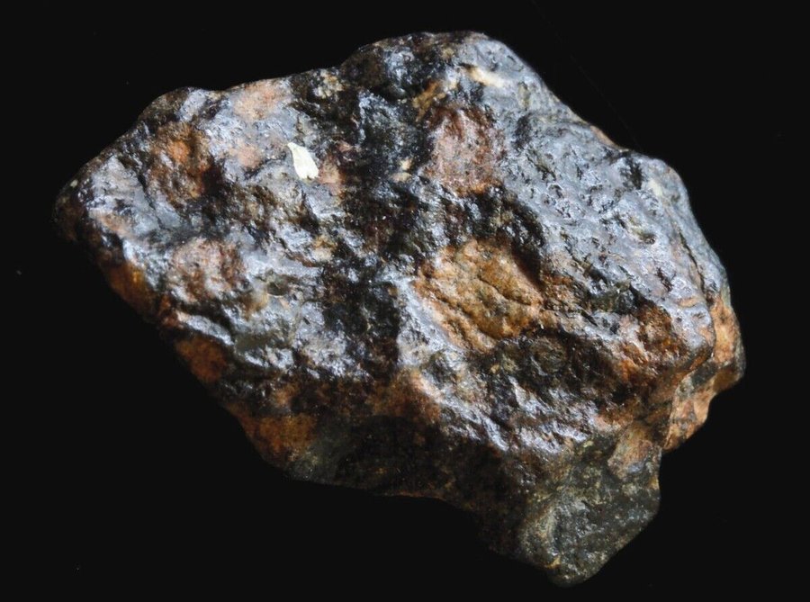 a_piece_of_NWA_7865:_carbonaceous_chondrite_meteorite_type_3_(CV3)
Found_in_the_Sahara_desert_of_Morocco._Circular_chond
