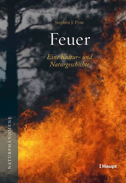 Ein Feuerwerk