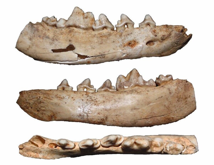 HR_PLC_20_transparent_2cm.jpg