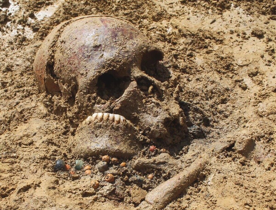 skull_Ergoldsbach.jpg