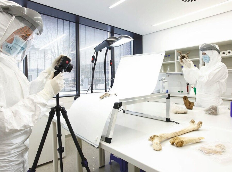 palaeogenetics_lab_Mainz_10.jpg