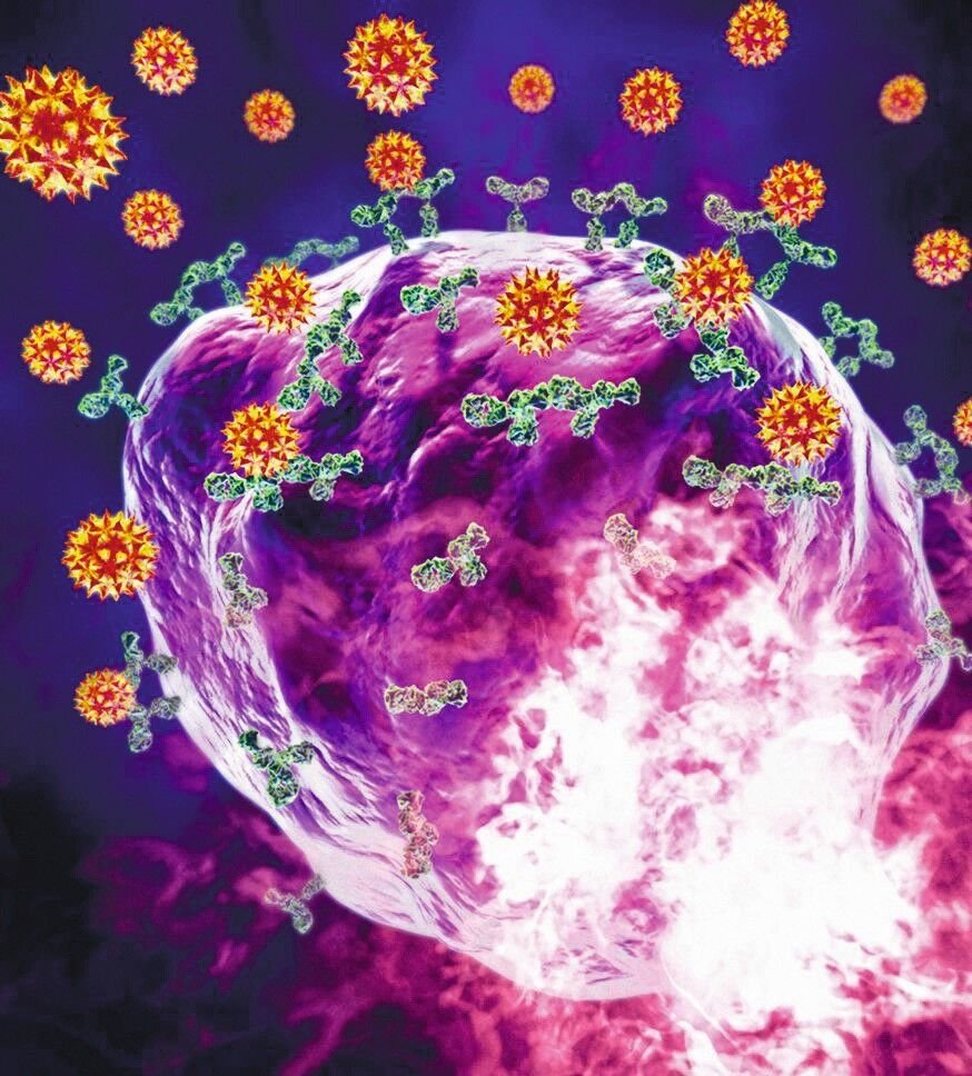 HR_SPL_11869941_Mast_cell.jpg