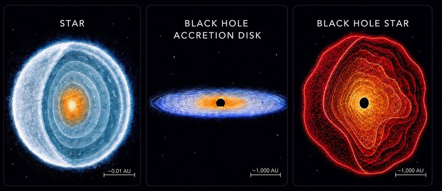 STern, SChwarzes Loch und Black Hole Star