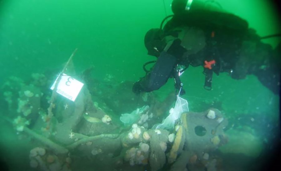 Taucher am Wrack