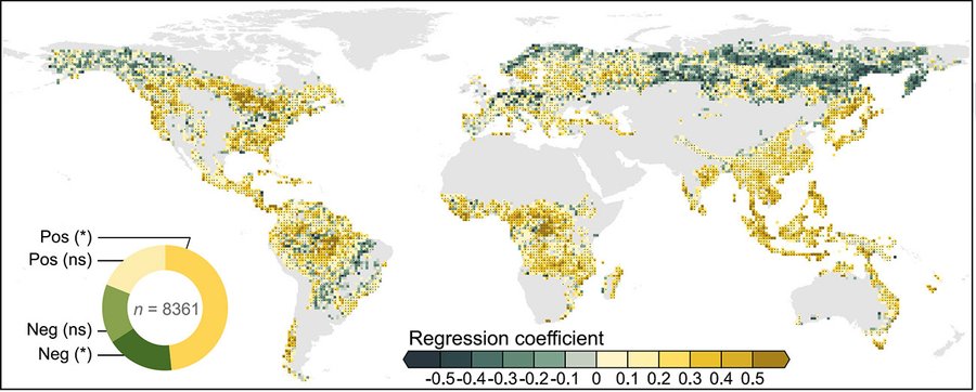 Klimaeffekt der Fragmentierung