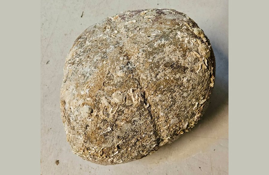 Ankerstein