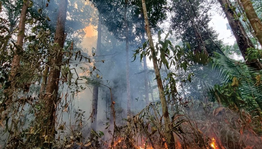 Waldbrand