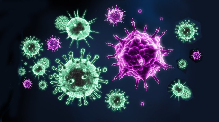 Mehr als 40.000 neue RNA-Viren - in unseren Städten