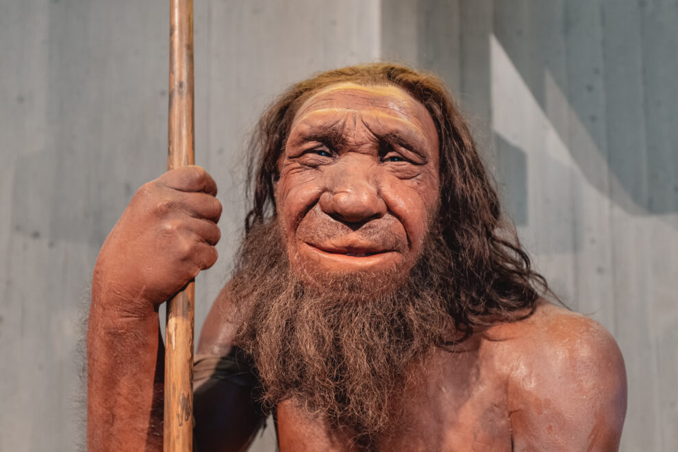 Auf den Spuren der Vergangenheit: Die moderne Rekonstruktion eines Neandertalers bringt uns unsere Vorfahren näher.